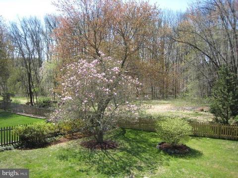 1349 Macbeth St, Mclean, VA 22102 photo 2