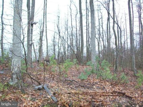 8955 Corner Rd, Hancock, MD 21750 photo 14