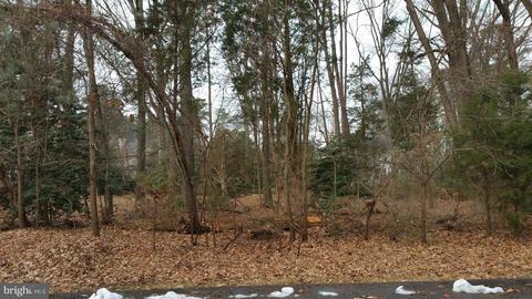 14525 Honeysuckle Way, Issue, MD 20645 photo 1