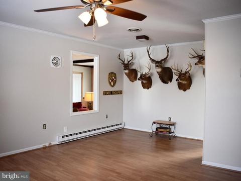 3880 Harrison Cir, Trappe, MD 21673 photo 15