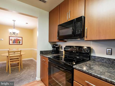 3309 Sir Thomas Dr #5-A-33, Silver Spring, MD 20904 photo 11