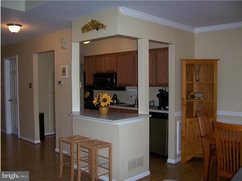 82 E Thomas Ct, Kennett Square, PA 19348 photo 10
