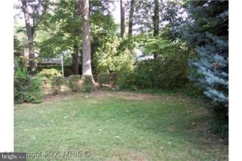 11227 Bybee St, Silver Spring, MD 20902 photo 6