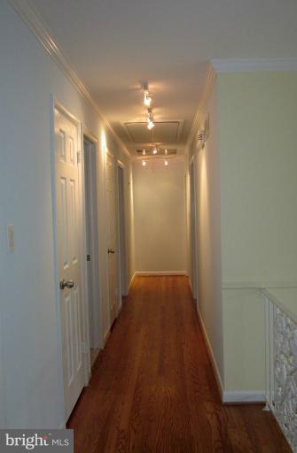 6213 Kellogg Dr, Mclean, VA 22101 photo 11