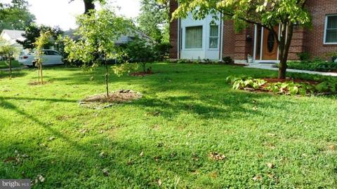 7435 Long Pine Dr, Springfield, VA 22151 photo 3