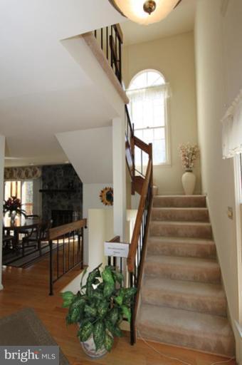 1929 Hickory Hill Ln, Silver Spring, MD 20906 photo 12