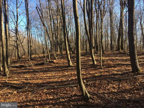 17323 Three Notch Rd, Dameron, MD 20628 photo 1