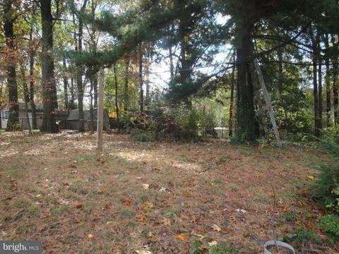 7709 Jervis St, Springfield, VA 22151 photo 3