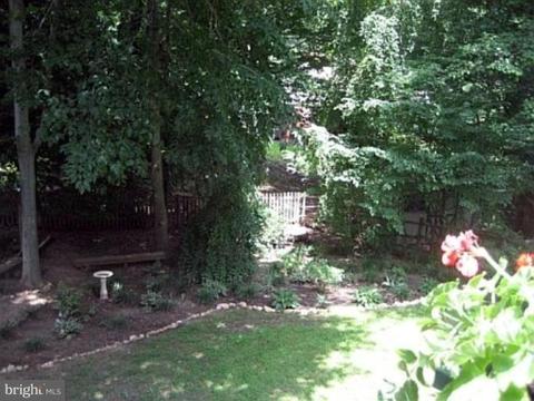 8417 Thames St, Springfield, VA 22151 photo 6