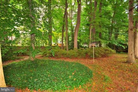 5308 Atlee Pl, Springfield, VA 22151 photo 4
