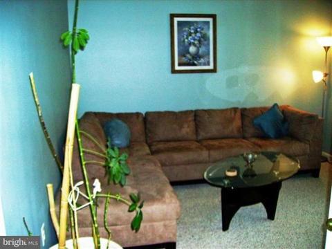 404 Hanna Ct, Chester, MD 21619 photo 9