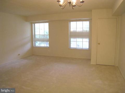 7720 Tremayne Pl #307, Mclean, VA 22102 photo 14