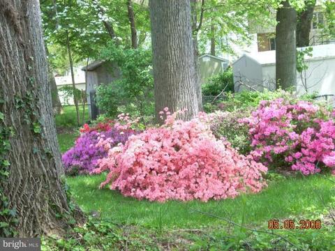 1313 Gresham Rd, Silver Spring, MD 20904 photo 21