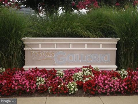 1311 Macbeth St, Mclean, VA 22102 photo 26
