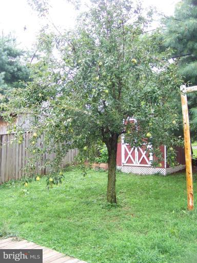 532 Logan St, Frederick, MD 21701 photo 9