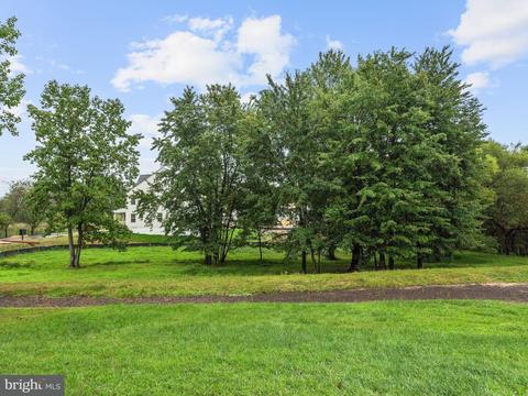 9131 Riverhill Rd, Laurel, MD 20723 photo 28