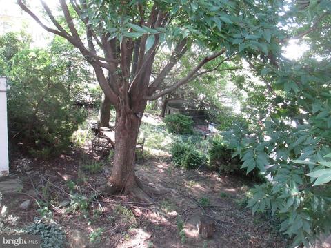 1406 Light St, Baltimore, MD 21230 photo 30