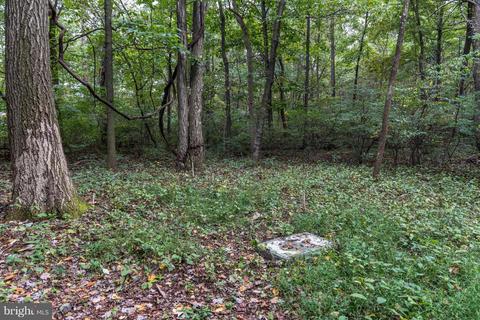 13414 Ritchie Rd, Cascade, MD 21719 photo 4