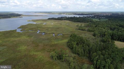 6656 Pine Top Rd, Hurlock, MD 21643 photo 9