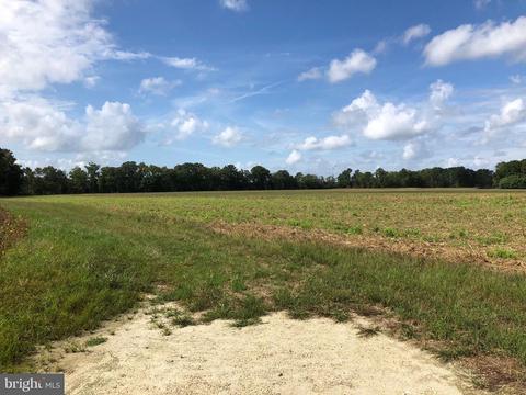 6656 Pine Top Rd, Hurlock, MD 21643 photo 16