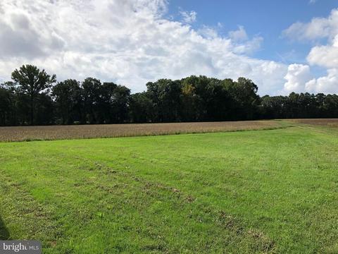 6656 Pine Top Rd, Hurlock, MD 21643 photo 12