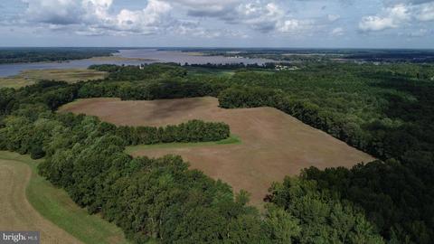 6656 Pine Top Rd, Hurlock, MD 21643 photo 3
