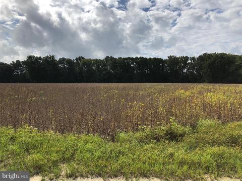 6656 Pine Top Rd, Hurlock, MD 21643 photo 17