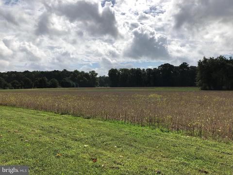 6656 Pine Top Rd, Hurlock, MD 21643 photo 15