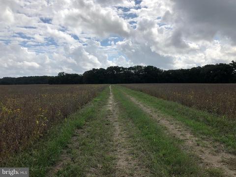 6656 Pine Top Rd, Hurlock, MD 21643 photo 22