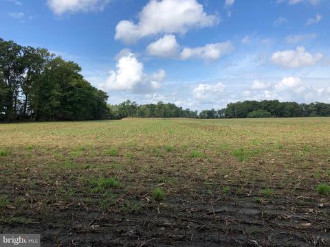 6656 Pine Top Rd, Hurlock, MD 21643 photo 20