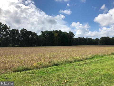 6656 Pine Top Rd, Hurlock, MD 21643 photo 14