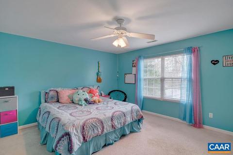 8 Possum Ln, Palmyra, VA 22963 photo 27