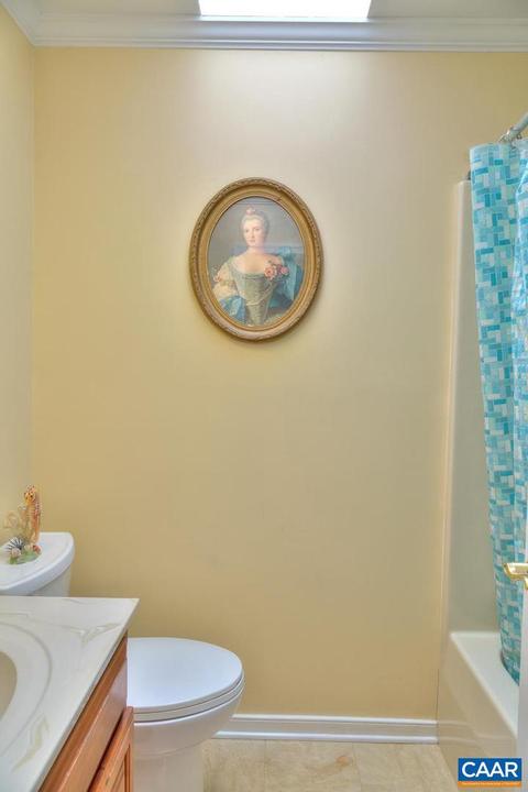 7 Horseback Ln, Palmyra, VA 22963 photo 24