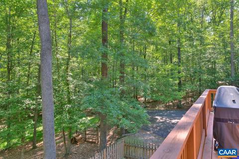 7 Horseback Ln, Palmyra, VA 22963 photo 38
