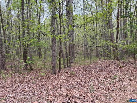 Briar Patch Ln, Louisa, VA 23093