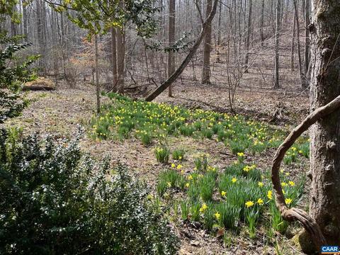 2330 Old Roberts Mountain Road #PORTION OF TAX MAP 3, Faber, VA 22938