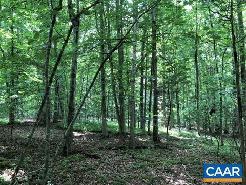 Lot 43 Foxwood Dr, Barboursville, VA 22923