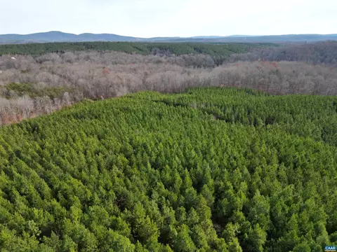 Buck Mountain Ln, Gladstone, VA 24553