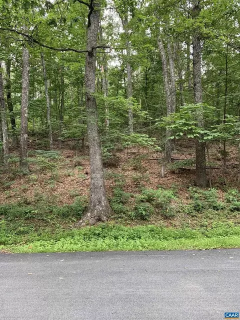 32 Chestnut Ln #32, Wintergreen, VA 22958