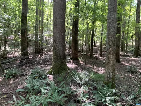 lot1 Green Creek Rd, Old Dominion, VA 22969