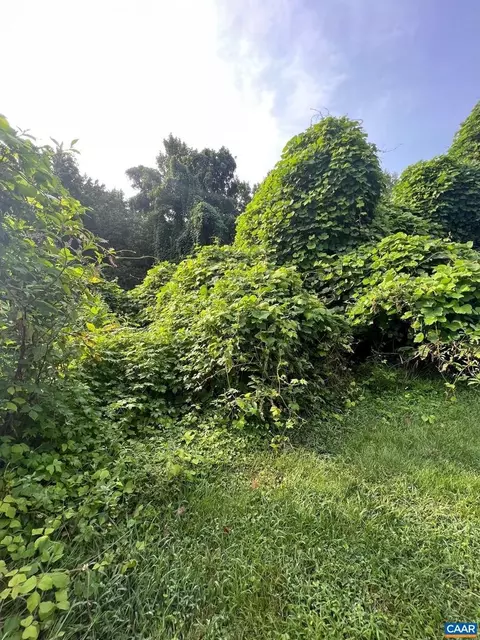 0 Sunset Dr, Madison Heights, VA 24572