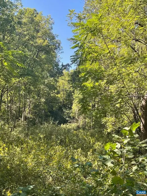 Tbd Stony Point Pass, Keswick, VA 22947