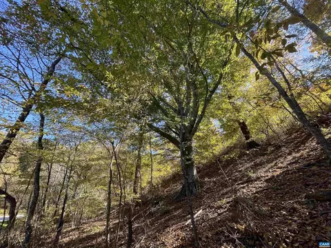 Tbd Glenthorne Loop, Nellysford, VA 22958 photo 18