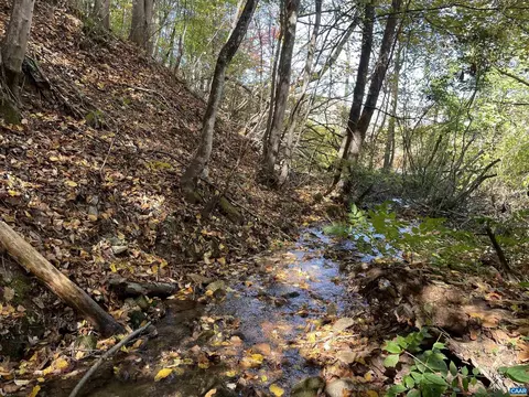 Tbd Glenthorne Loop, Nellysford, VA 22958 photo 4