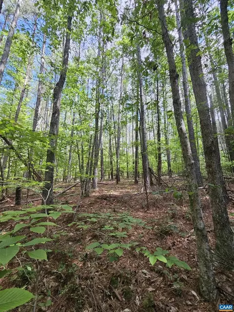 slate river trl, Arvonia, VA 23004