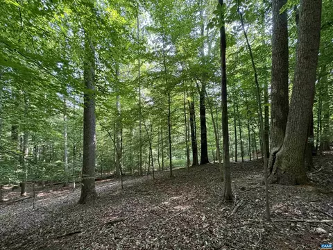 111 Ironwood Ln #10N, Nellysford, VA 22958