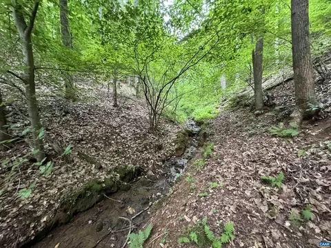 Tba Glenthorne Loop, Nellysford, VA 22958 photo 13
