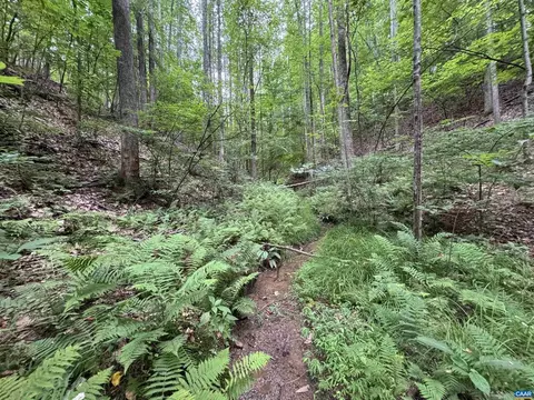 Tba Glenthorne Loop, Nellysford, VA 22958 photo 12