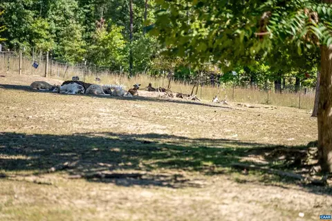 1889 Pond Rd, Buckingham, VA 23921 photo 48