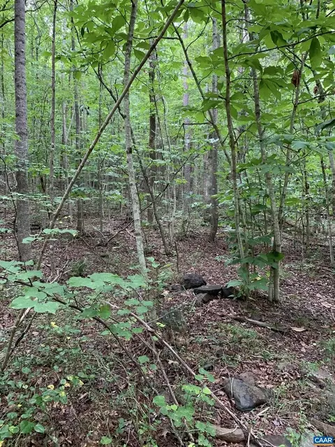 Glade Rd, Schuyler, VA 22969